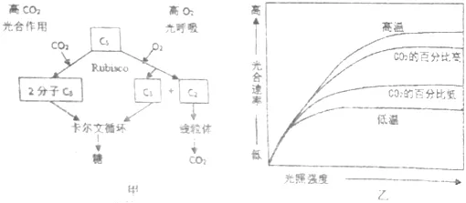 从纳什均衡角度解读工业数字孪生体落地实践现象的成因