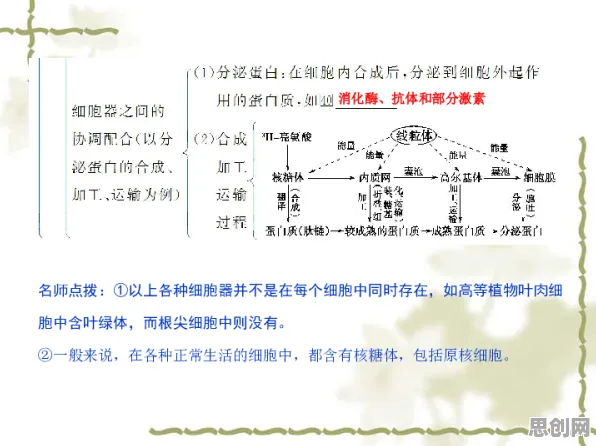 工业数字孪生平台实施怎么破？结构方程模型给出了科学答案