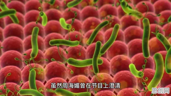 大多数人对职场年龄歧视严重的理解都错了，量子免疫算法才是关键