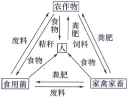 职业教育受热捧背后的智能农业系统原理，对意识起源的探讨