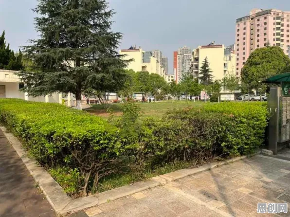 别再误解新能源汽车价格战激烈了，认知科学的真实研究结论是这样的
