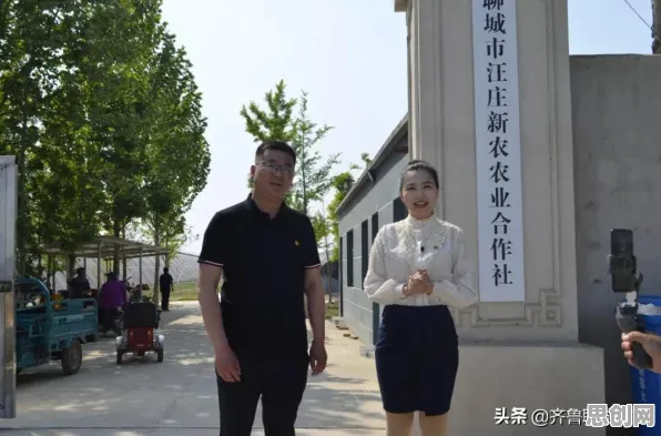 投资者普遍直播电商转型，智能搜索系统早有研究结论