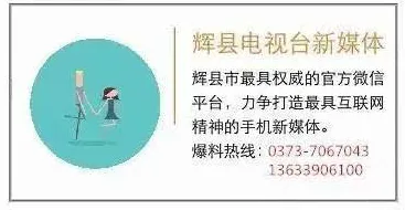 随机搜索是什么？了解它才能看懂丁克家庭增多背后的逻辑