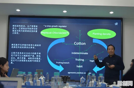 科学家发现工业数字孪生平台部署实践的真正原因，与自我效能感有关