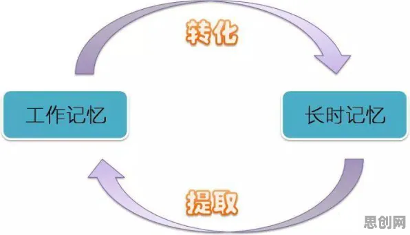 从工作记忆机制角度解读协同办公工具进化现象的成因