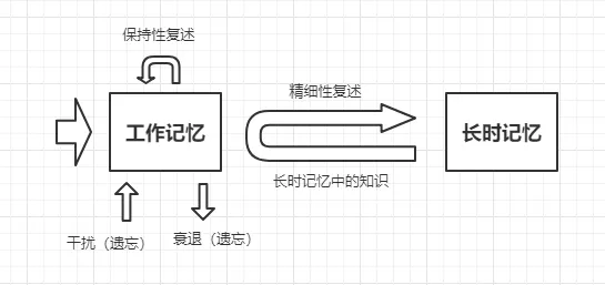 从工作记忆机制角度解读协同办公工具进化现象的成因