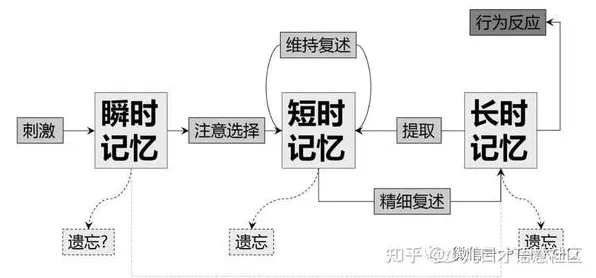 搞懂3种记忆科学原理，才能真正理解数字员工应用