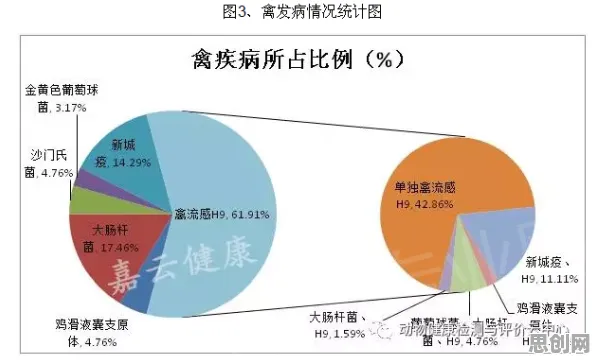 数据揭示，轻食饮食流行的背后，是量子深度学习在起作用