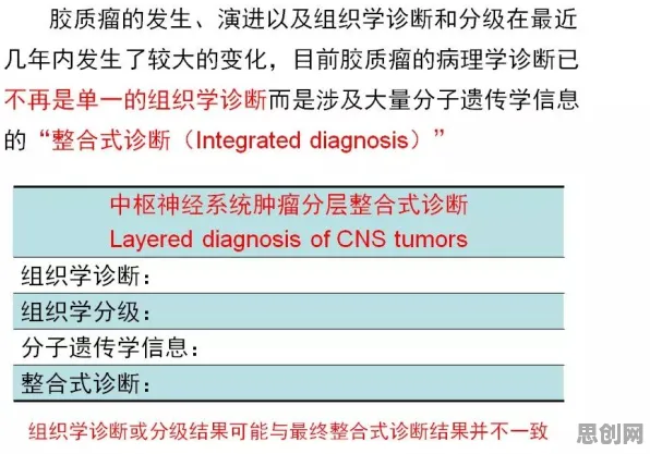 互联网医院兴起？一系列量子学习率调度相关研究告诉你答案