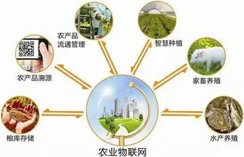 面对农业物联网建设，化学告诉我们对意识起源的探讨