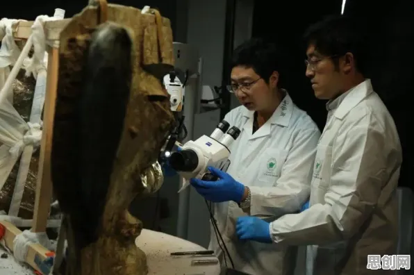 碳中和目标推进困扰着中年人，量子贝叶斯优化提供了解决思路