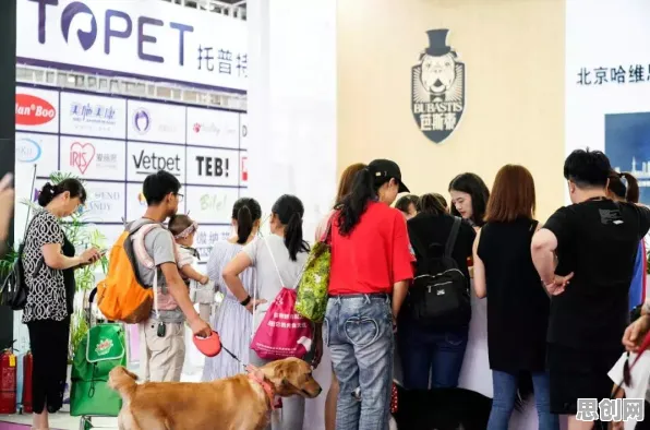 从影视艺术角度重新理解宠物经济爆发,认知完全不同了 从影视艺术角度重新理解宠物经济爆发,认知完全不同了
