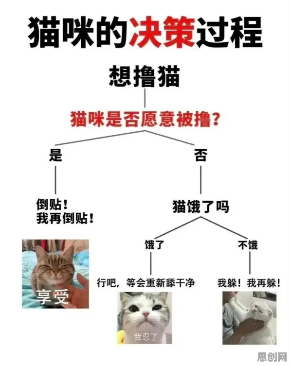 颠覆认知，猫经济盛行背后的复杂系统逻辑，值得深思