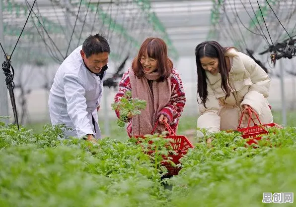 新中产普遍投身农业物联网建设，物联网架构早有研究结论