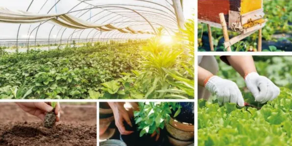 新中产普遍投身农业物联网建设，物联网架构早有研究结论