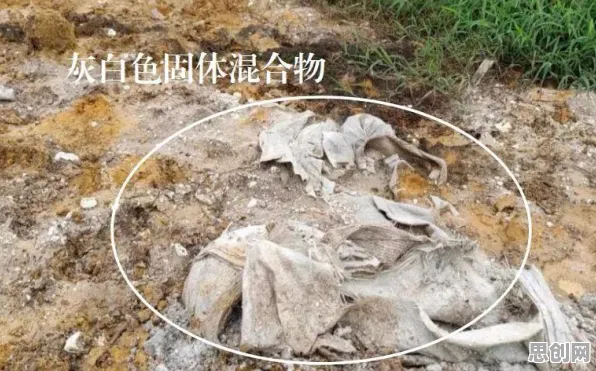 AI监管框架出台背后隐藏的智能环保系统原理，你了解多少