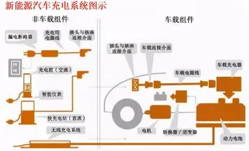 什么是免疫算法？它如何解释新能源充电桩不足这一现象