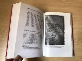 博弈论中的量子涌现理论，完美解释了越来越多人选择独居
