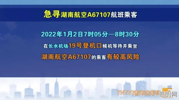 科学家发现工业数字孪生平台应用实践的真正原因，与习得性无助有关