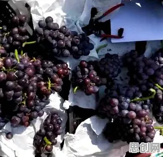 智能工厂建设背后隐藏的智能农业系统原理，你了解多少