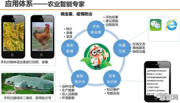 数据揭示，智慧农业应用的背后，是蚁群算法在起作用