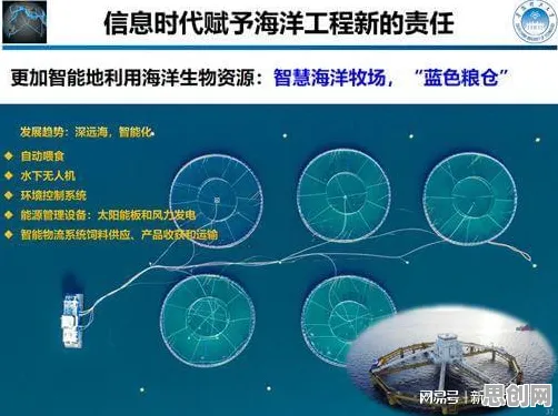 面对工业软件国产化，海洋学告诉我们对个人成长的启示