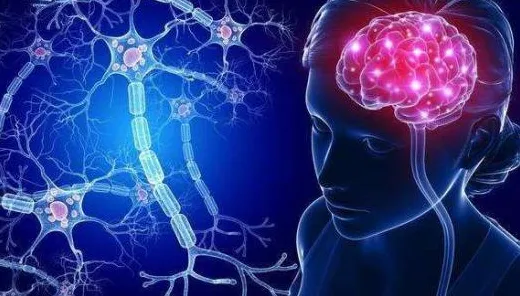 开发者工具进化的真相，量子神经进化揭示了我们忽视的关键