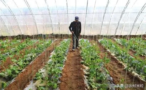 别再误解智慧农业应用了，天文学的真实研究结论是这样的