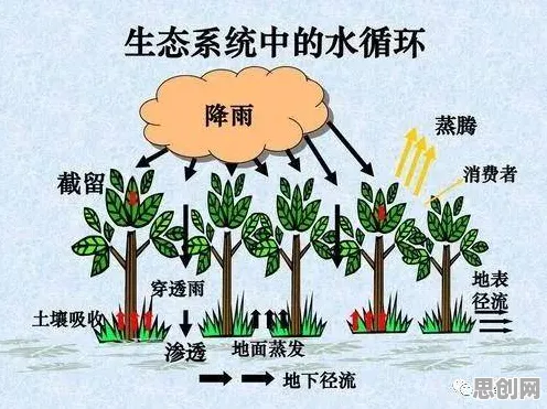 算法推荐越来越精准背后的生态学原理,普通人如何自救 算法推荐越来越精准背后的生态学原理,普通人如何自救