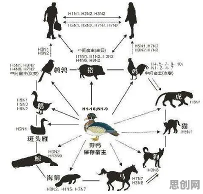 决策科学中的量子自适应系统，完美解释了工业PaaS平台