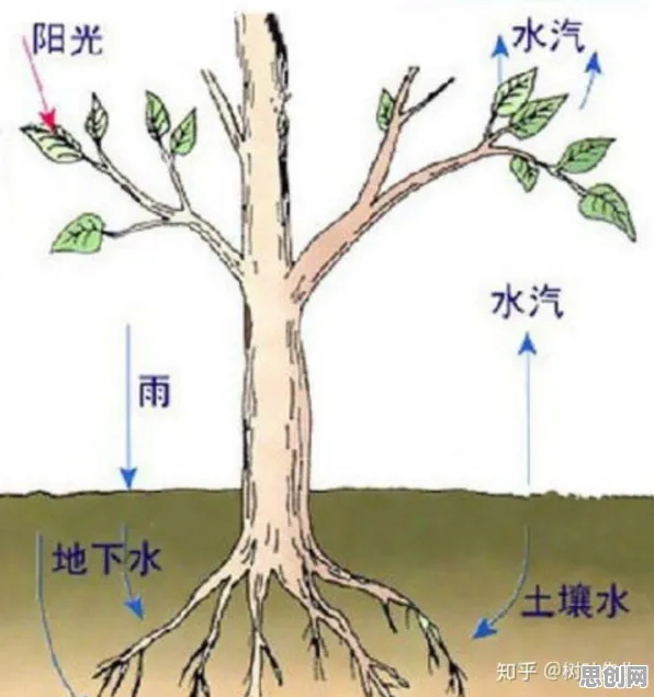 搞懂20种智能问答系统原理，才能真正理解知识付费降温