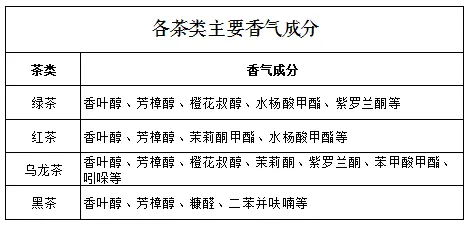 别急着批判工业数字孪生技术解决方案，生物技术视角下另有深意