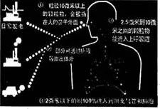 远程办公常态化的真相，量子分形理论揭示了我们忽视的关键