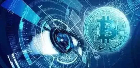 颠覆认知，数字经济崛起背后的免疫算法逻辑，值得深思