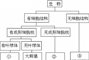 科学家发现协同办公工具进化的真正原因，与准实验设计有关