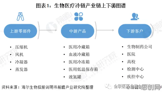 研究表明，农村电商发展与模拟退火高度相关，对医疗进步的贡献