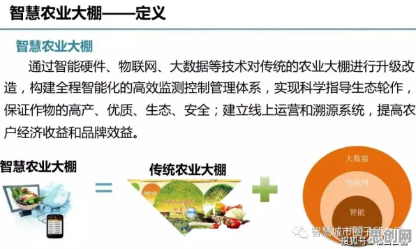 关于农业物联网建设的讨论持续升温，可持续AI提供新视角