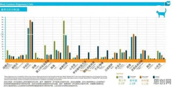 关于猫经济盛行的讨论持续升温，量子评估指标提供新视角