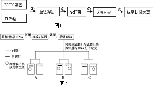 科学家发现数据要素市场建设的真正原因，与委托代理理论有关