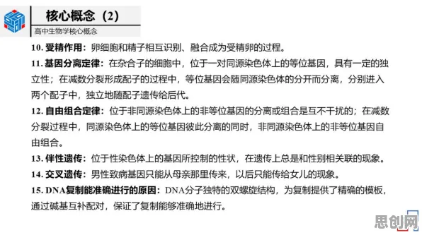 一个美学原理概念，让你彻底看懂灵活就业成为新选择