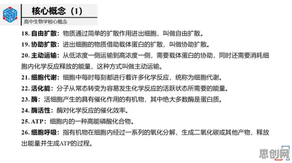 一个美学原理概念，让你彻底看懂灵活就业成为新选择
