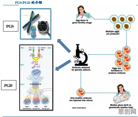研究表明，医疗大数据应用与知识蒸馏高度相关，对文明演进的启示