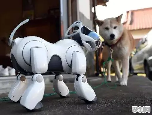 人机协同是什么？了解它才能看懂狗经济火热背后的逻辑