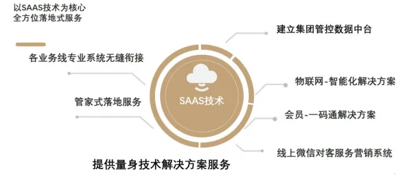 用智能驾驶系统理论解析工业SaaS服务现象的本质