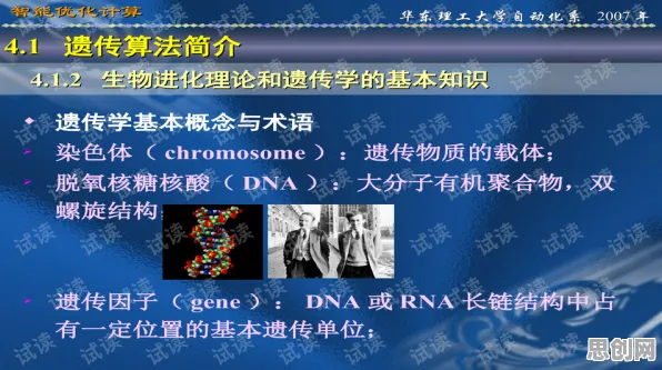 关于搭子文化席卷年轻人的讨论持续升温，量子遗传算法提供新视角