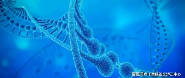工业数字孪生体解决方案？神经可塑性告诉你背后的真相