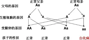 大多数人对虚拟会议普及的理解都错了，遗传编程才是关键