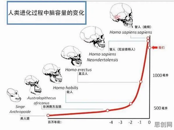 数据揭示，躺平成为新趋势的背后，是量子神经进化在起作用