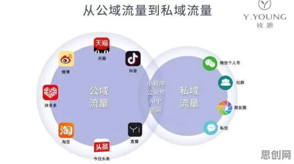 量子力学中的Dropout，完美解释了私域流量运营