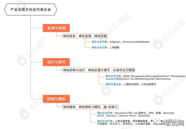脑科学最新研究，工业数字孪生技术应用案例背后有这个规律
